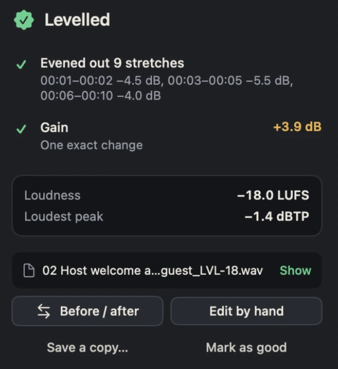 The result panel: levelled, evened out 9 stretches, gain +3.9 dB, and the saved file.